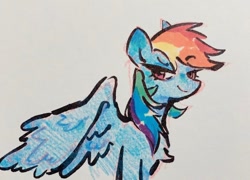 Size: 818x588 | Tagged: safe, artist:punkieple, rainbow dash, pegasus, pony, g4, colored pencil drawing, female, mare, marker drawing, smiling, smug, solo, traditional art
