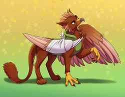 Size: 3600x2800 | Tagged: safe, artist:jack-pie, oc, oc only, oc:pavlos, griffon, bandage, beak, broken bone, broken wing, cast, cheek fluff, claws, clothes, colored wings, commission, concave belly, eared griffon, gradient background, griffon oc, injured, large wings, male, non-pony oc, one wing out, sling, solo, tail, thinking, wing hands, wings