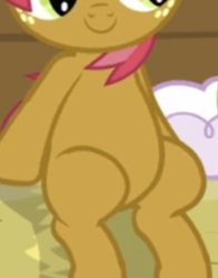 Size: 627x801 | Tagged: safe, screencap, babs seed, earth pony, pony, apple family reunion, g4, belly, cropped, pictures of bellies, sitting, smiling, solo