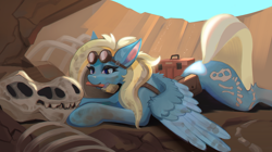 Size: 3910x2194 | Tagged: safe, artist:hoofindust, oc, oc only, pegasus, pony, bag, bone, brush, canyon, dirty, glass, goggles, lying down, mouth hold, outdoors, paleontology, pegasus oc, prone, saddle bag, skeleton, solo, toolbox, wings, wings down, work