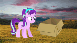 Size: 1920x1080 | Tagged: safe, starlight glimmer, pony, unicorn, g4, animated, box, cardigan the lamb, cardigan the prey lamb, circle tool, eaten alive, endosoma, female, horn, mare, non-fatal vore, predlight glimmer, sleeping, sound, stomach noise, text to speech, tree, vore, webm
