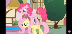 Size: 1140x540 | Tagged: safe, fluttershy, pinkie pie, earth pony, pegasus, a bird in the hoof, g4
