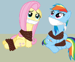 Size: 499x417 | Tagged: safe, artist:alexarmstrong2287, fluttershy, rainbow dash, pegasus, pony, g4, bondage, bound and gagged, cloth gag, duo, duo female, female, gag, mare, sitting, tied up