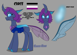Size: 3168x2288 | Tagged: safe, artist:cookie-ruby, mare do well, oc, oc only, oc:circe, changedling, changeling, g4, asexual pride flag, changedling oc, changeling oc, changelingified, ponysona, pride, pride flag, purple changeling, reference, reference sheet, solo, species swap