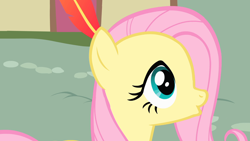 Size: 1920x1080 | Tagged: safe, screencap, fluttershy, pegasus, pony, a bird in the hoof, g4, :o, duckface, feather, female, mare, open mouth