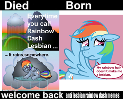Size: 862x694 | Tagged: safe, edit, rainbow dash, pegasus, pony, g4, crying, died born welcome back, duo, meme, rain