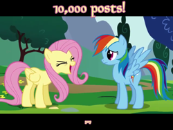 Size: 640x480 | Tagged: safe, screencap, fluttershy, rainbow dash, pegasus, pony, 10000, day, duo, english, eyes closed, female, full body, get, mare, open mouth, text, yay