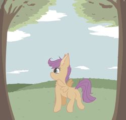 Size: 2684x2564 | Tagged: safe, artist:tkshoelace, scootaloo, chest fluff, cloud, facing away, hill, looking up, sky, solo, spread wings, tree, wings