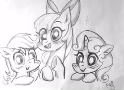 Size: 2742x2000 | Tagged: safe, artist:masichundepaofu, apple bloom, scootaloo, sweetie belle, earth pony, pegasus, pony, unicorn, cutie mark crusaders, female, filly, foal, horn, simple background, smiling, traditional art, white background