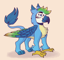 Size: 640x600 | Tagged: safe, artist:spicyricec00ker, gallus, bird, griffon, hybrid, macaw, parrot, parrot griffon, g4, alternate design, colored wings, eared griffon, macaw griffon, male, redesign, simple background, solo, wings