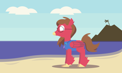 Size: 2000x1200 | Tagged: safe, artist:gd_inuk, oc, oc:will guide, classical hippogriff, hippogriff, g4, beach, classical hippogriffied, clothes, cloud, glasses, hippogriffied, jewelry, male, necklace, no pupils, ocean, palm tree, sand, shadow, shirt, sky, solo, species swap, tree, water