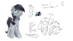 Size: 2000x1125 | Tagged: safe, artist:kaermter, oc, oc only, bat pony, pony, ear tufts, fangs, female, mare, reference sheet, solo
