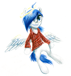 Size: 1232x1316 | Tagged: safe, artist:kaermter, oc, oc only, pegasus, pony, clothes, halo, shirt, simple background, solo, white background