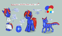 Size: 2431x1425 | Tagged: safe, artist:kaermter, oc, oc only, oc:pondis dant, cat, pony, unicorn, clothes, gray background, heterochromia, horn, male, reference sheet, self paradox, self ponidox, shirt, simple background, solo, stallion