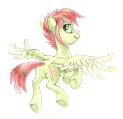 Size: 1388x1342 | Tagged: safe, artist:kaermter, oc, oc only, pegasus, pony, flying, looking at you, looking back, looking back at you, simple background, solo, spread wings, traditional art, white background, wings
