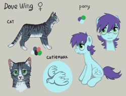 Size: 1442x1098 | Tagged: safe, artist:kaermter, oc, oc only, oc:dovewing, cat, earth pony, pony, female, mare, reference sheet, simple background, sitting