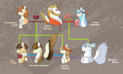 Size: 1280x775 | Tagged: safe, artist:malinraf1615, bulk biceps, cinnamon chai, coco pommel, featherweight, wiz kid, oc, oc:little match, oc:winter wish, pony, colored wings, family tree, female, mare, multicolored wings, offspring, older, parent:bulk biceps, parent:cinnamon chai, parent:coco pommel, wings