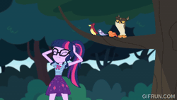 Size: 520x293 | Tagged: safe, screencap, sci-twi, twilight sparkle, bird, human, owl, equestria girls, g4, my little pony equestria girls: choose your own ending, stressed in show, stressed in show: fluttershy, animated, female, gif, gifrun.com