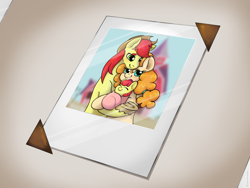 Size: 2880x2160 | Tagged: safe, artist:maneiacmayhem, apple bloom, bright mac, pear butter, earth pony, pony, fanfic:apples and pears bloom at the same time, g4, baby, baby apple bloom, fanfic, fanfic art, fanfic cover, father and child, father and daughter, female, filly, foal, male, mare, mother and child, mother and daughter, photo, stallion, trio, younger