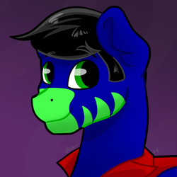 Size: 2000x2000 | Tagged: safe, artist:cadetredshirt, oc, oc only, earth pony, pony, bust, commission, digital art, looking at camera, looking at you, portrait, solo