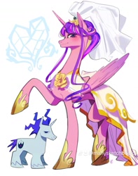 Size: 1274x1614 | Tagged: safe, artist:manysketchbooks, princess cadance, shining armor, alicorn, pony, unicorn, g4, clothes, concave belly, dress, duo, female, height difference, hoof shoes, horn, male, mare, meme, ship:shiningcadance, shipping, size difference, slender, stallion, straight, the bride and the ugly ass groom, thin, unshorn fetlocks, veil, wedding dress, wedding veil