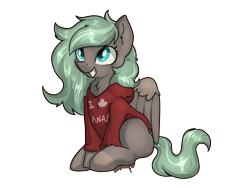 Size: 4000x3001 | Tagged: safe, artist:dumbwoofer, oc, oc only, oc:forest air, pegasus, pony, 2020, chest fluff, clothes, ear fluff, excited, female, happy, hoodie, maple leaf, mare, simple background, sitting, smiling, solo, text, transparent background