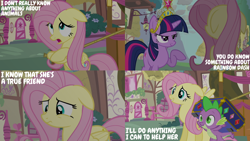 Size: 2000x1125 | Tagged: safe, edit, edited screencap, editor:quoterific, screencap, fluttershy, spike, twilight sparkle, g4, magical mystery cure