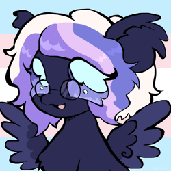 Size: 2200x2200 | Tagged: safe, artist:larvaecandy, oc, oc only, oc:fluff fablewing, pegasus, pony, animated, blinking, gif, glasses, nonbinary, pegasus oc, pride, pride flag, solo, transgender, transgender oc, transgender pride flag