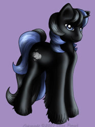Size: 281x375 | Tagged: safe, artist:flyingpony, oc, oc only, oc:skyview, pony, unicorn, fanfic:worlds apart, g1, horn, lavender background, male, simple background, solo, stallion, standing