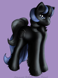 Size: 281x375 | Tagged: safe, artist:flyingpony, oc, oc only, earth pony, pony, fanfic:worlds apart, g1, lavender background, male, simple background, solo, stallion, standing, unshorn fetlocks