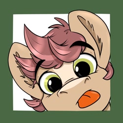 Size: 1000x1000 | Tagged: safe, artist:rutkotka, oc, oc only, oc:pitch kritter pine, earth pony, pony, :p, cute, looking at you, male, ocbetes, solo, stallion, tongue out