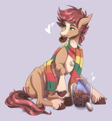 Size: 1701x1849 | Tagged: safe, oc, oc:pitch kritter pine, earth pony, blaze (coat marking), blushing, chest fluff, clothes, coat markings, cookie, cookie jar, cute, earth pony oc, facial markings, food, male, mouth hold, scarf, simple background, sitting, socks (coat markings), stallion, unshorn fetlocks