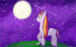 Size: 3330x2050 | Tagged: safe, artist:a1ra, sunny starscout's mother, earth pony, g5, female, moon, shooting star, solo, starry night