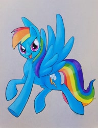 Size: 1654x2151 | Tagged: safe, rainbow dash, prismacolors, solo, traditional art