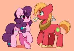 Size: 7038x4856 | Tagged: safe, artist:kittyrosie, big macintosh, sugar belle, earth pony, pony, unicorn, g4, :o, absurd resolution, blushing, cute, duo, female, flower, flower in mouth, high res, horn, kittyrosie is trying to murder us, macabetes, male, mare, mouth hold, open mouth, profile, redraw, ship:sugarmac, shipping, stallion, straight, sugarbetes