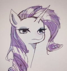 Size: 1870x1966 | Tagged: safe, artist:37240622, rarity, pony, unicorn, g4, bust, female, horn, mare, photo, picture of a screen, portrait, rarity is not amused, solo, unamused