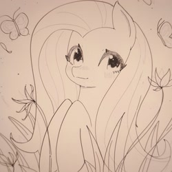 Size: 2286x2286 | Tagged: safe, artist:37240622, fluttershy, butterfly, pegasus, pony, g4, brown background, cute, female, grass, mare, shyabetes, simple background, sketch, solo