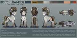 Size: 4268x2139 | Tagged: safe, artist:buckweiser, oc, oc only, oc:bush ranger, pony, unicorn, yakutian horse, broken horn, burn marks, chest fluff, claw marks, ear fluff, fluffy, front view, horn, horseshoes, jagged horn, low angle, male, overhead view, reference sheet, scar, side view, simple background, smiling, solo, stallion, standing, torn ear