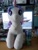 Size: 1200x1600 | Tagged: safe, starlight glimmer, pony, unicorn, g4, build-a-bear, coca-cola, horn, irl, k-wave, photo, plushie, pony plushie, same colour, singapore