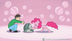 Size: 1920x1080 | Tagged: safe, artist:doublewbrothers, apple bloom, limestone pie, marble pie, maud pie, pinkie pie, scootaloo, spike, sweetie belle, oc, oc:generic messy hair anime anon, cockatrice, dragon, earth pony, human, pegasus, pony, unicorn, g4, angry, barking, behaving like a dog, bellyrubs, brofist, clapping, cutie mark crusaders, head pat, horn, hug, hugging a pony, onomatopoeia, pat, petrification, raspberry, raspberry noise, taunting, tongue out