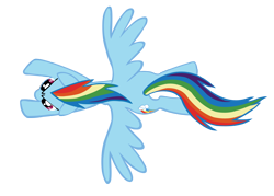 Size: 2000x1434 | Tagged: safe, artist:shayminonearth, rainbow dash, pegasus, pony, g4, the ticket master, female, flying, mare, overhead view, simple background, solo, spread wings, transparent background, vector, wings
