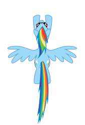 Size: 5400x8000 | Tagged: safe, artist:caliazian, artist:shayminonearth, rainbow dash, pegasus, pony, g4, .ai available, both cutie marks, female, flying, mare, overhead view, simple background, solo, sound barrier, spread wings, transparent background, vector, wings