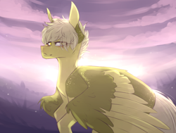 Size: 1000x757 | Tagged: safe, artist:riressa, oc, oc only, pegasus, pony, colored wings, colored wingtips, flying, looking at you, solo, two toned wings, wings