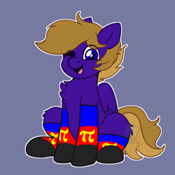 Size: 1048x1048 | Tagged: safe, artist:bluemoon, oc, oc:wing front, pegasus, brown mane, brown tail, clothes, happy, one eye closed, pegasus oc, polyamory, polyamory pride flag, pride, pride flag, purple coat, simple background, socks, tail, wink