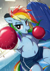 Size: 2480x3508 | Tagged: safe, artist:neoshrek, rainbow dash, pegasus, pony, semi-anthro, belly, belly button, boxing, boxing gloves, female, mare, punching bag, solo, sports, sweat
