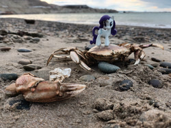 Size: 1032x774 | Tagged: safe, artist:dingopatagonico, rarity, crab, unicorn, crab fighting a giant rarity, horn, photo, rarity fighting a giant crab, role reversal, solo, toy