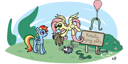 Size: 4000x2000 | Tagged: safe, artist:mafon, fluttershy, rainbow dash, opossum, pegasus, pony, sloth, snake, g4, may the best pet win, balloon, duo, duo female, fake wings, female, grin, lidded eyes, mare, rainbow dash is not amused, scissors, sign, simple background, smiling, sunglasses, transparent background, unamused