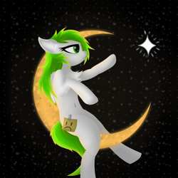 Size: 4500x4500 | Tagged: safe, artist:twinky, oc, pegasus, pony, chest fluff, crescent moon, green eyes, moon, space, stars
