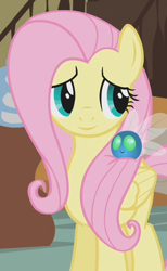 Size: 370x600 | Tagged: safe, edit, edited screencap, editor:twilyisbestpone, screencap, fluttershy, parasprite, pegasus, pony, g4, season 1, swarm of the century, cropped, cute, female, inverted mouth, mare, shyabetes, smiling, solo