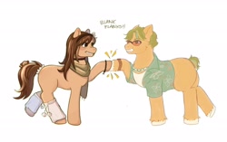 Size: 2048x1290 | Tagged: safe, artist:kiyrox, artist:rackinbrains, oc, oc only, oc:pandan leaves, earth pony, pony, blank flank, choker, clothes, duo, female, hawaiian shirt, headband, hoofbump, jewelry, leg warmers, looking at each other, looking at someone, male, mare, necklace, scarf, shirt, simple background, stallion, sunglasses, unshorn fetlocks, white background